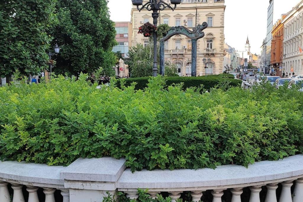 Filinhome Trg Mladenaca Novi Sad Bagian luar foto